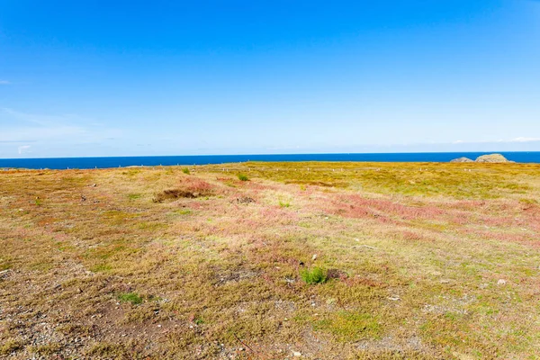 Láp Heath Wild Coast a szigeten Belle Ile en Mer a t — Stock Fotó