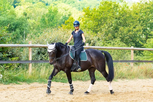 Formazione Cavaliere Suo Cavallo Baia Dressage — Foto Stock