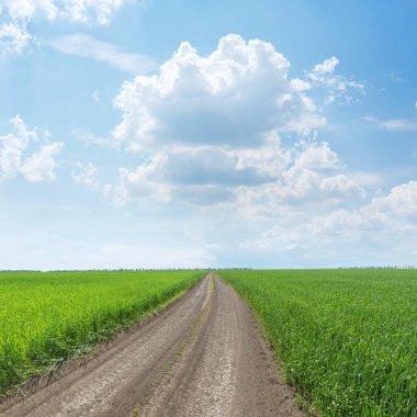 Kırsal yol yeşil çimlerde ve alçak bulutlar mavi gökyüzünde