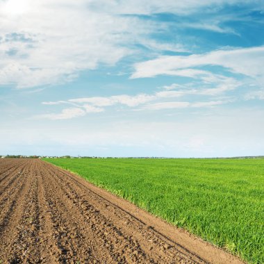 yeşil ve siyah tarım alanları ve bulutlardaki düşük güneş