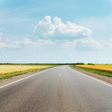 Mavi gökyüzündeki bulutlar ve tarlalar arasında asfalt yol