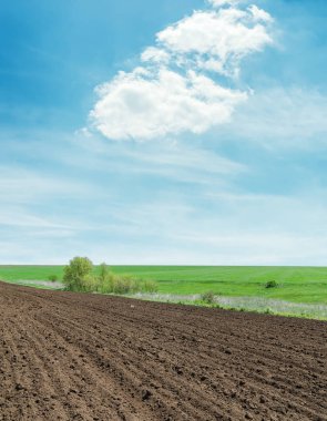 bahar tarım alanı ve bulutlu mavi gökyüzü
