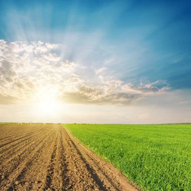 yeşil ve siyah tarım alanları ve bulutlarda gün batımı