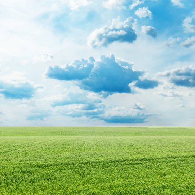 tarım yeşil çimen alanı ve bulutlu mavi gökyüzü
