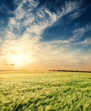 tarım yeşili ve turuncu gün batımı alçak dramatik bulutlarda