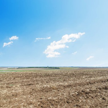 saban tarlası ve mavi gökyüzü