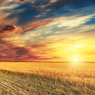 Hasatla birlikte güzel bir gün batımı.