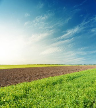 Mavi gökyüzündeki tarımsal bahar tarlaları üzerinde gün batımı