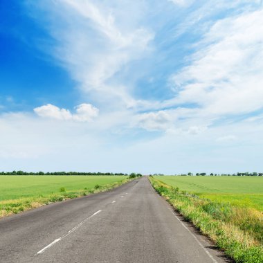 Yeşil tarlalarda asfalt yol ve gökyüzünde bulutlar