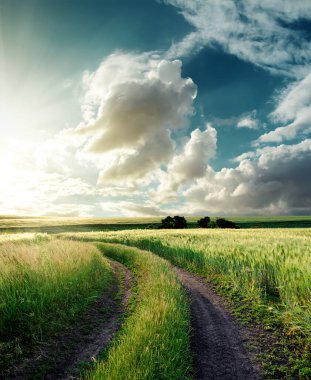 Yeşil tarlada yol ve bulutlarda gün batımı