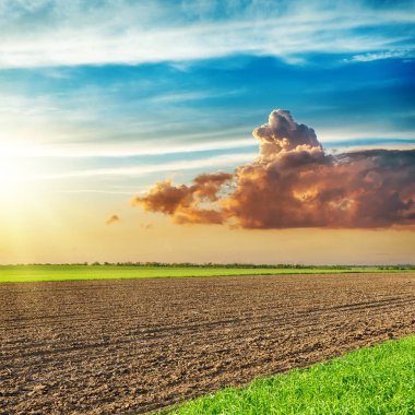 Yeşil ve tarıma elverişli tarım alanları ve dramatik bulutlarda gün batımı