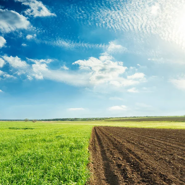 Landbouw Groene Zwarte Velden Zonsondergang Blauwe Lucht Met Wolken — Stockfoto