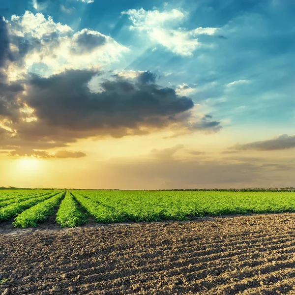 Zwart Groene Landbouwvelden Oranje Zonsondergang Blauwe Lucht Met Wolken — Stockfoto