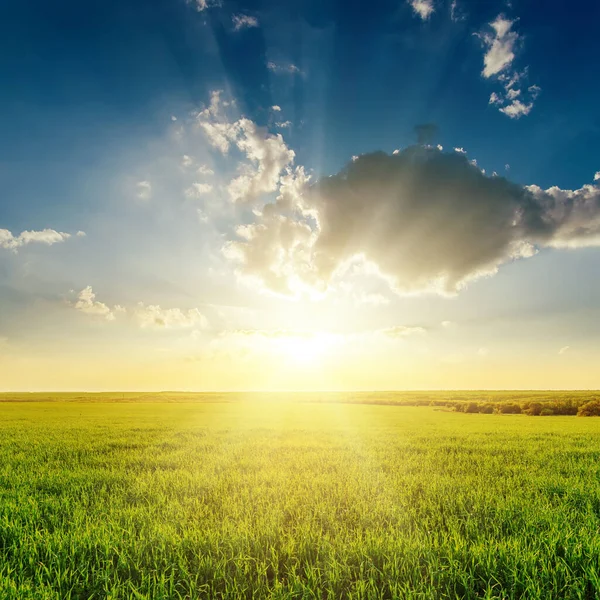 Nuvole Basse Tramonto Sul Campo Erba Verde — Foto Stock