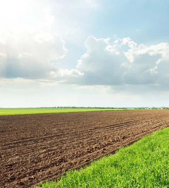 曇り空の緑と黒の農地と太陽 — ストック写真