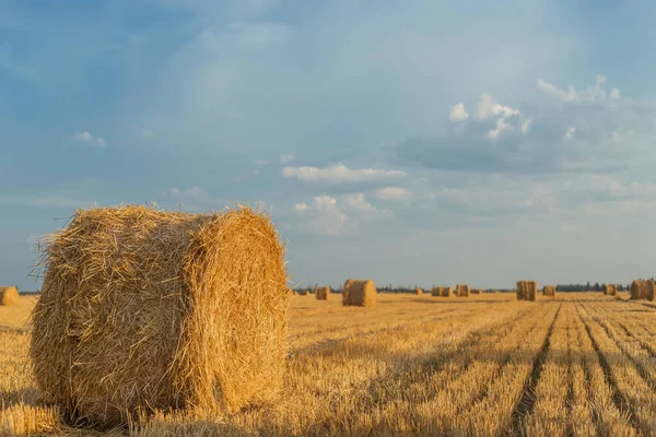 Arkaplanda Günbatımında Bulutlu Gökyüzü Ile Hasat Sonrası Saman Balyaları Ile — Stok fotoğraf