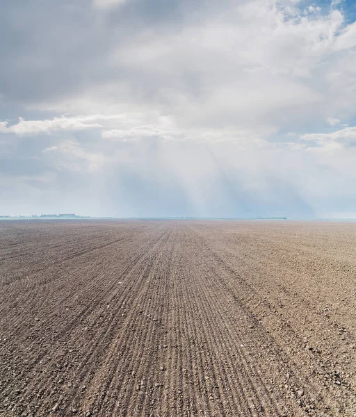 耕された農地と低い劇的な雲 — ストック写真