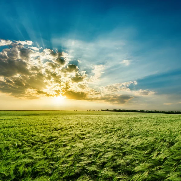 緑の畑と雲の中の夕日 — ストック写真