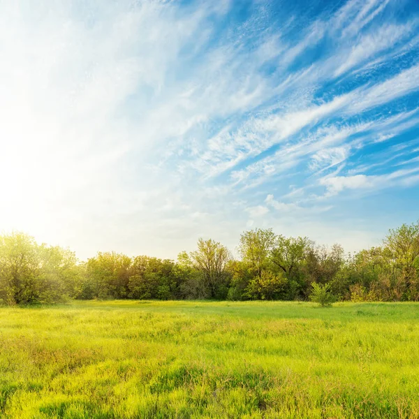 Prado Verde Céu Azul Com Nuvens Pôr Sol — Fotografia de Stock