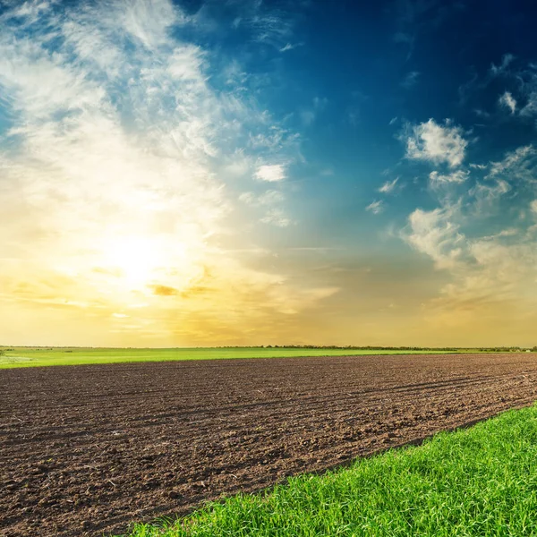 Campos Agricultura Preta Verde Pôr Sol Conceito Terras Agrícolas Orgânicas — Fotografia de Stock