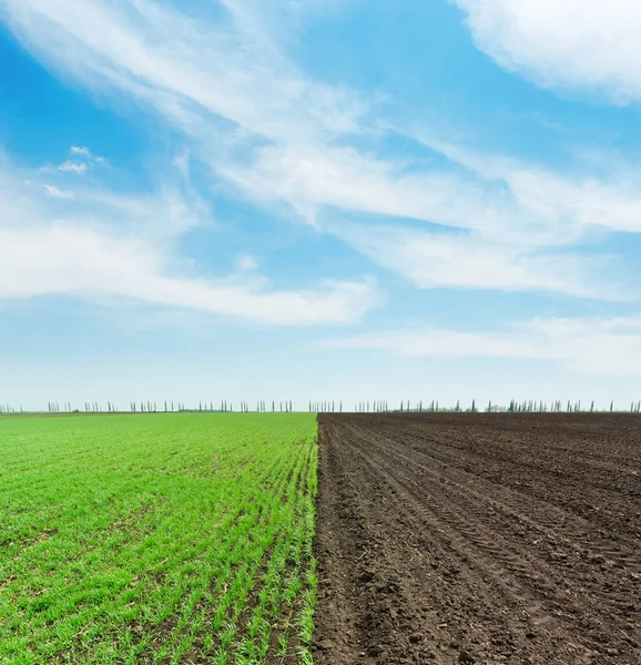 Grüne Und Schwarze Felder Und Wolken Blauen Himmel — Stockfoto