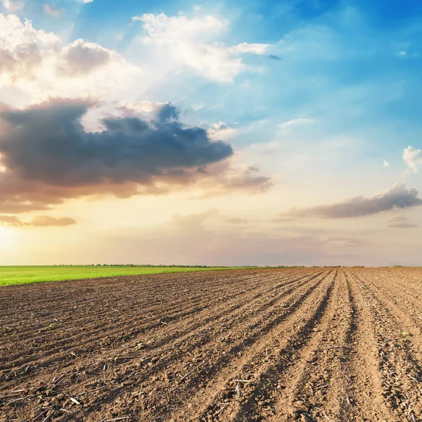 Campo Arato Tramonto Basse Nuvole Drammatiche — Foto Stock