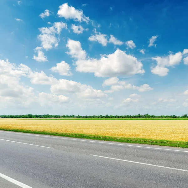 Asphalt Road Golden Field Blue Sky Clouds — Stock Photo, Image