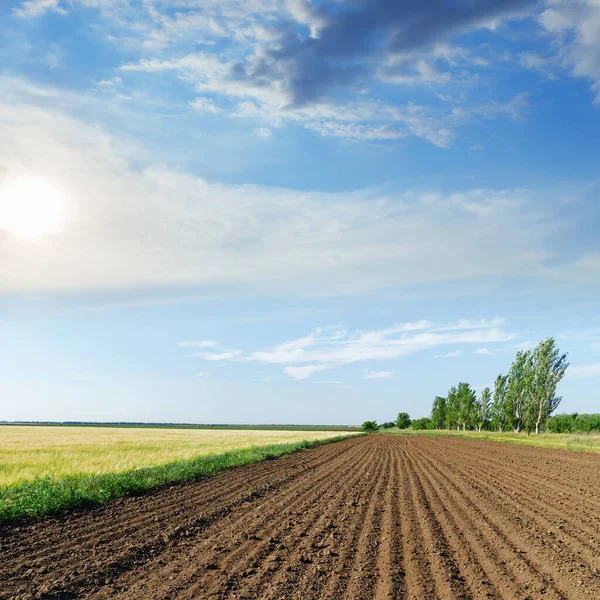 Zwart Landbouwveld Zon Blauwe Lucht Met Wolken — Stockfoto