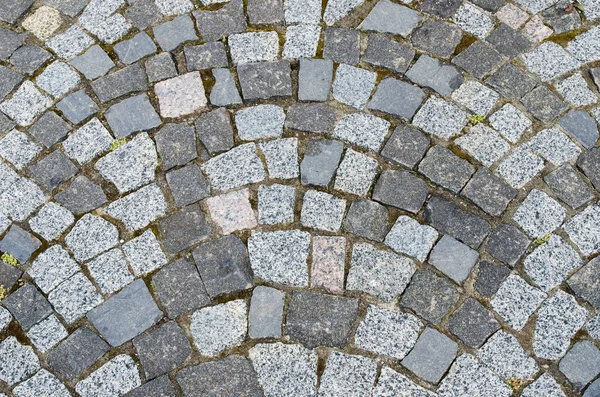 Cobblestone Boulevard Background — Stock Photo, Image