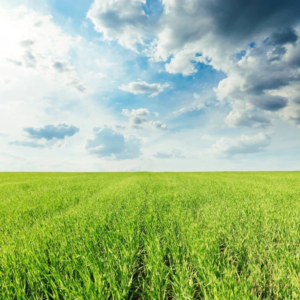 Nuages Sombres Bas Sur Champ Herbe Verte — Photo