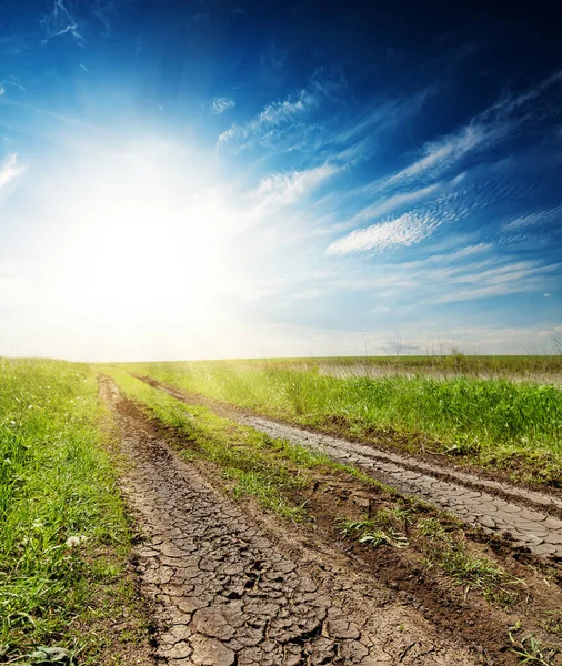 Route Fissurée Dans Herbe Verte Coucher Soleil Dans Ciel Bleu — Photo