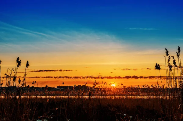 Orange Solnedgang Blå Himmel Floden Med Stokke Vinteren - Stock-foto