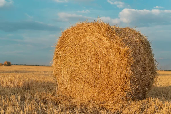 Kulaté Balíky Slámy Detailní Sklizené Pole Modré Nebe Mraky Západu — Stock fotografie