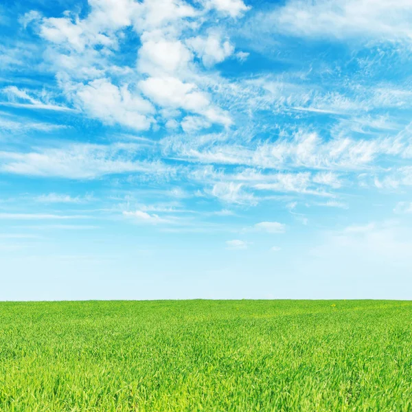 Grönt Gräs Och Blå Himmel Med Moln — Stockfoto