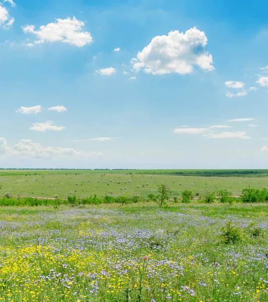 Prairie Verte Avec Des Fleurs Des Nuages Dans Ciel Bleu — Photo