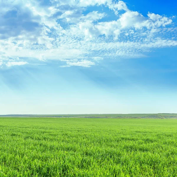 Groen Grasveld Wolken Blauwe Lucht — Stockfoto