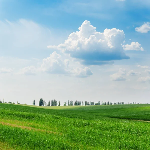 Campo Grama Verde Céu Azul Com Nuvens Sobre Eles — Fotografia de Stock