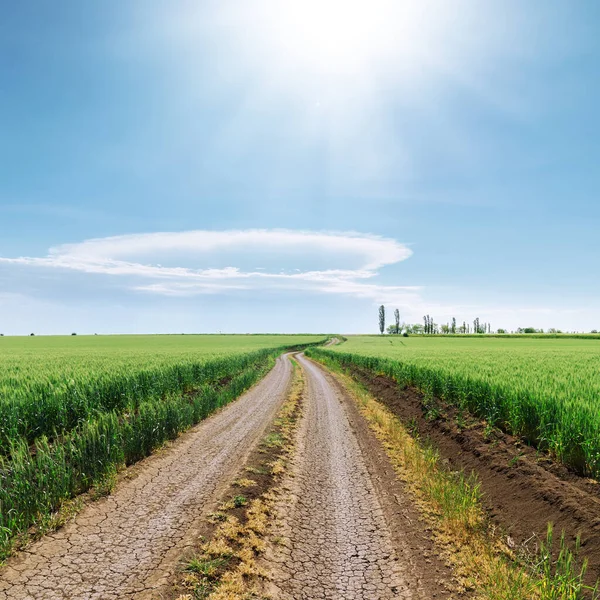 Sol Blå Himmel Över Väg Gröna Fält — Stockfoto