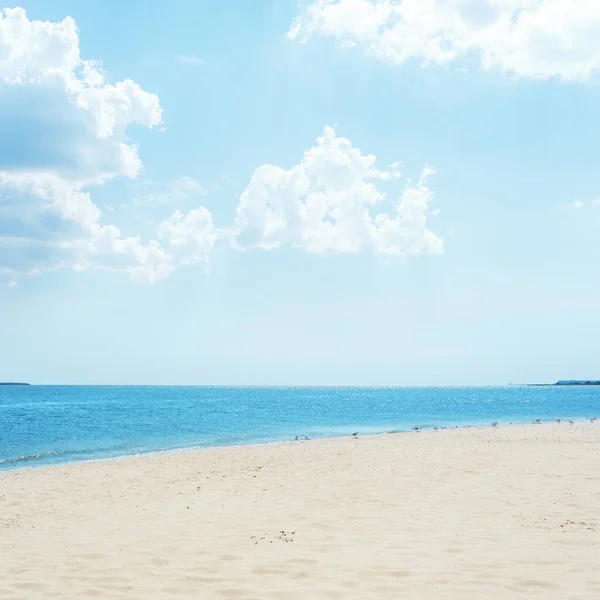 曇天下の青い海と砂の殻 — ストック写真