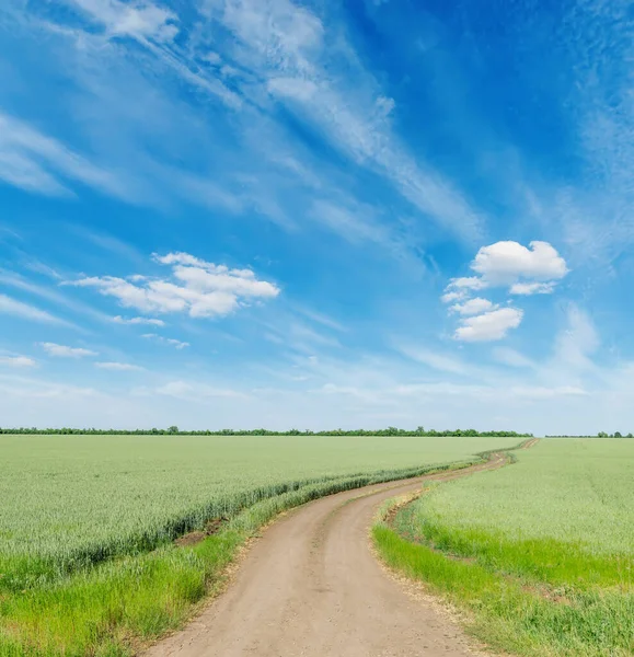 Estrada Campos Agrícolas Verdes Céu Azul Com Nuvens — Fotografia de Stock