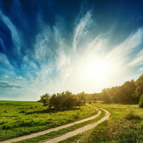 Ormanda gün batımı