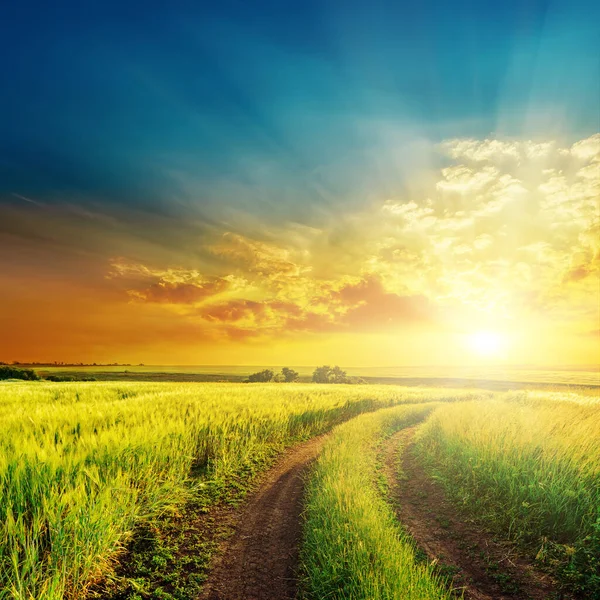 Landelijke Weg Groen Gras Oranje Zonsondergang — Stockfoto