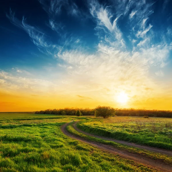 Route Rurale Dans Herbe Verte Coucher Soleil Dans Ciel Dramatique — Photo