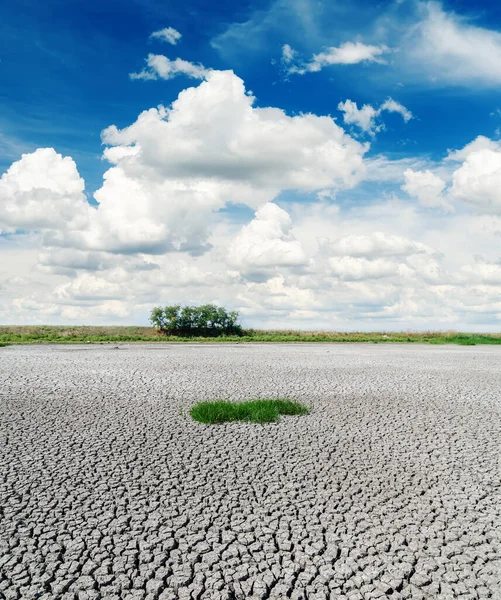 Deep Blue Sky Drought Earth — Stock Photo, Image