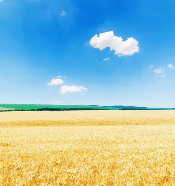 Голубое Небо Облаками Золотым Цветом — стоковое фото