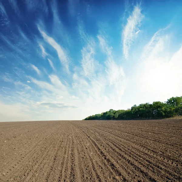 Svart Jordbruksmark Och Blå Himmel Med Moln — Stockfoto