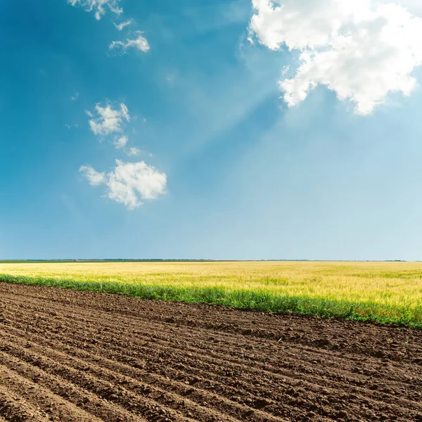 Zon Boven Wolken Blauwe Lucht Landbouwvelden — Stockfoto