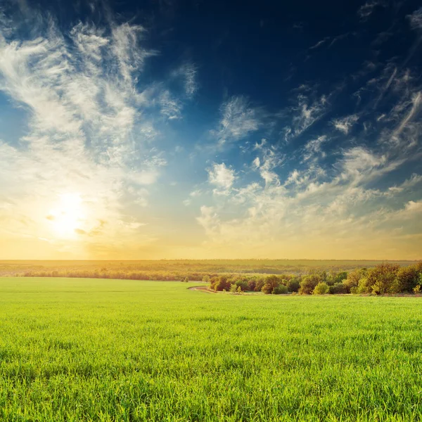 Dramatic Sunset Green Meadow — Stock Photo, Image