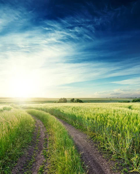 Landelijke Weg Een Groen Veld Naar Horizon Zonsondergang Diep Blauwe — Stockfoto