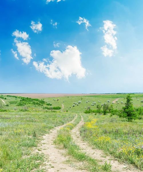 Route Rurale Dans Paysage Vert Nuages Blancs Dans Ciel Bleu — Photo